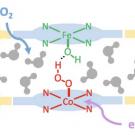 mof schematic